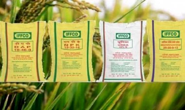 CG News कृषि विभाग की बड़ी कार्रवाई...बीज के 99 और खाद के 109 नमूने मिले अमानक...अमानक नमूने वाले खाद-बीज के लॉट के विक्रय पर प्रतिबंध...विक्रेता संस्थानों को कारण बताओ नोटिस...