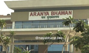 CG Forest Deprtment Promotion : छत्तीसगढ़ में वन विभाग के अधिकारियों को मिली पदोन्नति, बनाए गए वन संरक्षक, देखें आदेश…