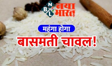 Basmati Rice : बासमती चावल खाना हो सकता है महंगा, क्योंकि इस वजह से बढ़ सकती है इसकी कीमत...