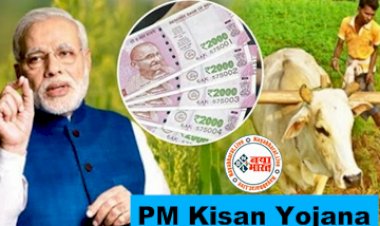 PM Kisan Yojana : नवरात्रि में सरकार देगी किसानों को बड़ी सौगात ! सरकार ने किया ये ऐलान, 12वीं किस्त को लेकर दी बड़ी अपडेट...