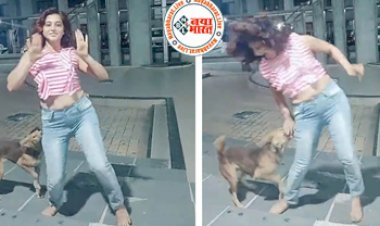 Girl dance: 'ज़रा-ज़रा किस मी' गाने पर डांस कर रही थी लड़की, अचानक कुत्ते ने सुन ली फरियाद...आगे जो हुआ वो खुद ही देख ले आप...