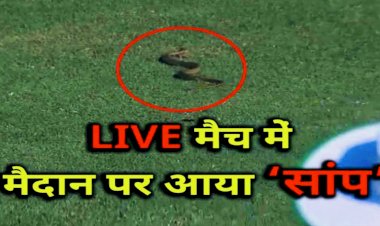 VIDEO भारत और दक्षिण अफ्रीका के LIVE मैच में मैदान में घुसा जहरीला सांप, डर गए खिलाड़ी और कुछ मिनटों के लिए रुका मैच, स्टेडियम में फैली दहशत…देखें VIDEO….
