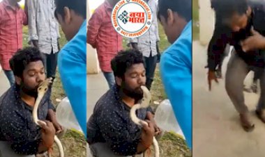 Viral Video: कोबरा को पकड़ने के बाद शख्स करने लगा Kiss, फिर जो हुआ उसे देख आप भी हो जाएगें हैरान, देखिए वीडियो...