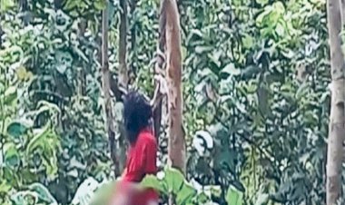 CG पति-पत्नी की बेरहमी से हत्या: दिल दहला देने वाली वारदात…पति की हत्या के बाद पत्नी का किडनैप….बर्बरता की हद पार ,पत्नी को अर्धनग्न कर जंगल में पेड़ से लटकाया…फैली सनसनी…जाँच में जुटी पुलिस….