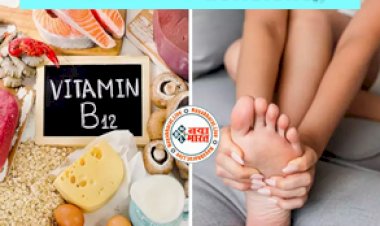 Vitamin B12 deficiency : विटामिन बी 12 की कमी होने पर शरीर देता है ये बड़े संकेत, काम करना बंद कर सकते हैं कई अंग, देखे पूरी डिटेल्स...