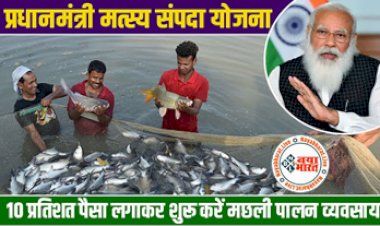 PM Matsya Sampada Yojana : मछली पालन पर सरकार दे रही है 90 प्रतिशत तक की सब्सिडी...सिर्फ 10 प्रतिशत पैसा लगाकर शुरू करें मछली पालन व्यवसाय, इस योजना के तहत जल्द करें अप्लाई.....