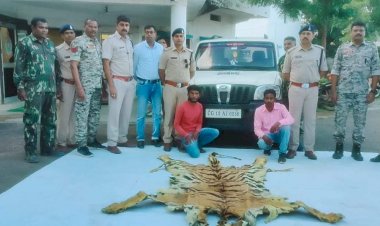 CG NEWS: 50 लाख की बाघ की खाल के साथ 2 गिरफ्तार... तस्करों पर पुलिस का शिकंजा... घेराबंदी कर कार को रोका तो बाघ की खाल के साथ दो आरोपी धराए.....