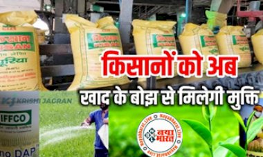 DAP Urea Today Rate: किसानो के लिए बड़ी खुशखबरी! किसानो को अब खाद के बोझ से मिलेगी मुक्ति, DAP और Urea के नए रेट जारी....जाने कितने में मिलेगी यूरिया खाद की एक बोरी...