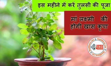 Kartik month 2022 : इस महीने में करें तुलसी की पूजा, मां लक्ष्मी की होगी खास कृपा...घर में कभी नहीं होगी पैसों की कमी, देखे पूजा के नियम....