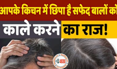 White Hair: सफेद बालों से हैं परेशान, किचन में रखी इस चीज से काले होंगे सफेद बाल! काम आएगा ये नुस्खा...