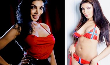 अजब-गजब रिकार्ड : इस मशहूर पॉर्न स्टार ने खोले गहरे राज, 24 घंटे में 300 से ज्यादा पुरूषों के साथ बनाए थे संबंध, हैरान कर देने वाली आपबीती सुन नहीं करेंगे यकीन…