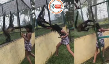 Viral Video: बंदर को इशारा करना लड़की को पड़ा भारी, बंदरो ने लड़की के साथ किया कुछ ऐसा जिसे देख आप भी हो जायेंगे हैरान...देखिए वीडियो...