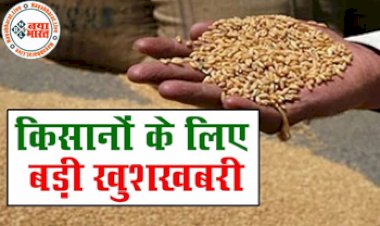 Crops MSP Increases:किसानों को दिवाली गिफ्ट, गेहूं समेत इन 6 फसलों के MSP में इजाफा, जानें कितनी बढ़ी कीमतें...देखे पूरी डिटेल्स...