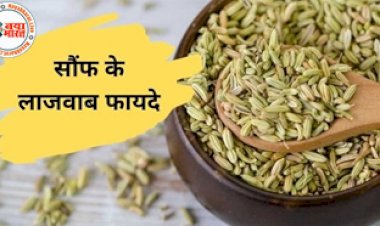 Fennel Seeds Powder with Warm Water: बहुत फायदेमंद है सौंफ का पानी, खून साफ करने से लेकर आंंखों की रोशनी तक को करता है ठीक...