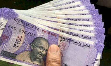 Salary Hike: वेतन में भारी बढ़ोत्तरी, बड़ी खुशखबरी, कर्मचारियों को मिला दिवाली का तोहफा, सैलरी में इतना इजाफा, जानें कब आएगा पैसा?....