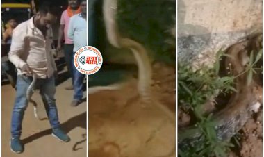 CG- वन सुंदरी सांप VIDEO: यहां दिखा Common Trinket Snake, लोगों में मचा हड़कंप, फिर जो हुआ, देखें रेस्क्यू वीडियो.....