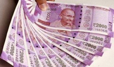 कर्मचारियों के लिए बड़ी खुशखबरी, 2023 में भारत में बढ़ेगी सबसे ज्यादा सैलरी, जानें Lattest Update…