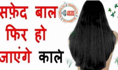 White Hair Remedies: सफेद बाल काले करने के घरेलू उपाय! आज ही घर ले आएं ये चीजें, धीरे-धीरे काले होने लगेंगे आपके सफेद बाल...