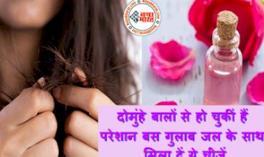 Split Ends Solution: दिन पर दिन बढ़ रहे दोमुंहे बालों से हो चुकीं हैं परेशान? बस गुलाब जल के साथ मिला दें ये चीजें, इस समस्या से मिलेगा छुटकारा....