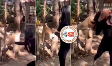 Monkey and girl video: लड़की ने बंदर से लिया पंगा! शरारती लड़की ने बंदर के हिप्स पर मार दी चमाट, देखिए फिर उसने कैसे लिया बदला...वीडियो देख हंसी नहीं रुकेगी...