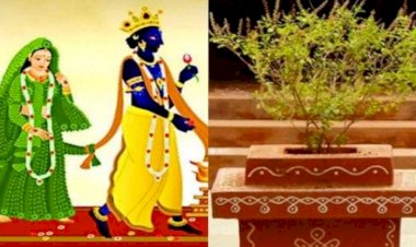 Tulsi Vivah 2022: तुलसी विवाह के मुहूर्त और विधि, ये गलतियां पड़ सकती हैं भारी,नोट कर लें पूजा-विधि, शुभ मुहूर्त और सामग्री की पूरी लिस्ट....