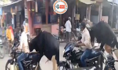 Viral Video: शख्स के पीछे पड़ा सांड...बाइक पर बैठने के लिए जो किया उसे देख नहीं रुकेगी आपकी हंसी...देखे ये वायरल वीडियो...