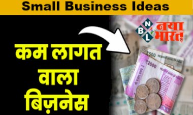 Small Business Ideas: कम पैसों में शुरू करें ये साइड बिजनेस, पहले ही महीने से होगी लाखों में कमाई, जाने कैसे?