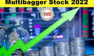 Multibagger Stock: इस सीमेंट कंपनी से निवेशकों ने खूब बनाया पैसा, सिर्फ एक लाख रुपये निवेश करने वाले को 20 साल में बना दिया करोड़पति...चेक करे डिटेल्स...