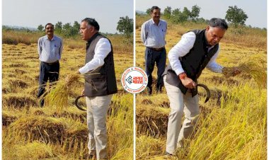 CG: ...जब धान कटाई करने लगे कलेक्टर, हसिया पकड़ खेत में पहुंचे, फिर हुआ ये, किसान परिवार को दी ये सलाह.....