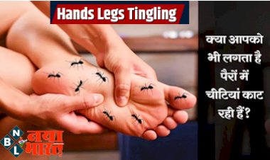 Hands Legs Tingling: क्या आपको भी लगता है कि 'हाथ-पैर में काट रही हैं चीटियां', तो इस विटामिन की हो गई है कमी गंभीरता से लें यह समस्या....