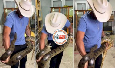Anaconda Video: फन करने के चक्कर में एनाकोंडा को उठाने की गलती कर बैठा शख्स, तभी जो हुआ उसे देख हैरान हुए सभी...देखे ये खतरनाक वीडियो...