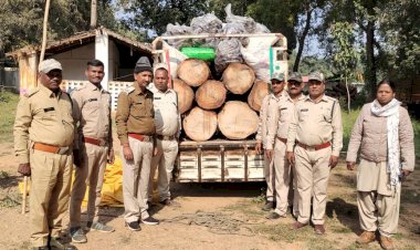लकड़ी माफियाओ में हड़कंप डेढ़ लाख की लकड़ी सहित वाहन के साथ लगभग 5 लाख की संपति को जप्त करते हुए किए राजसाद की कार्यवाही