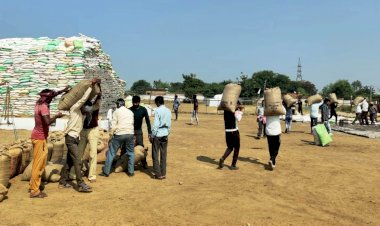 CG- 28 नए धान खरीदी केंद्र: आदेश जारी, 28 नए धान खरीदी केंद्र खोलने की मिली अनुमति, देखें लिस्ट.....