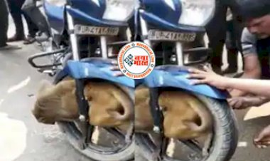 Bandar Ka Video: बंदर उछल कूद करता हुआ फंसा बाइक के पहिए में, लोगों की नजर जैसे पड़ी उसकी हालत देख अवाक रह गए सभी- देखें वीडियो