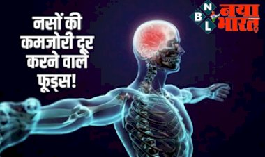 Vitamin b12 for nerve: नसों की कमजोरी दूर करते हैं ये 5 फूड्स! जानें शरीर की नसों को फिर से मजबूत बनाने वाले Natural Resource...