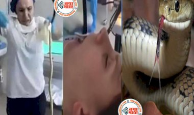 Video: डॉक्टरों ने महिला के मुंह से निकाला 4 फीट लंबा सांप, देखिए वायरल वीडियो...