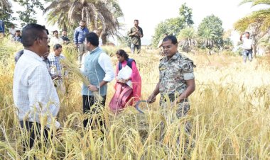 CG News : ...जब धान कटाई करने लगे कलेक्टर-एसपी हसिया पकड़ खेत में पहुंचे, फिर हुआ ये, किसान परिवार को दी ये सलाह.....