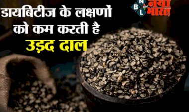 Urad Dal For Diabetes: डायबिटीज के मरीजों के लिए बहुत फायदेमंद हैं ये दाल, तेजी से कम होता है ब्लड शुगर लेवल....