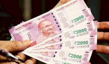 Employee Promotion : हजारों कर्मचारियों को तोहफा, मिलेगा प्रमोशन का लाभ, खाते में बढ़कर आएगी इतनी राशि….