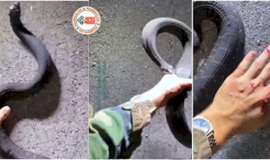 Sanp Ka Video: सांप से शरारत करना एक शख्स को पड़ा भारी,  उसका जो हाल हुआ उसे देख सभी रह गये दंग- देखें वीडियो....