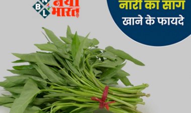 Benefits of Nari Saag: नारी साग के चमत्कारी फायदे, डाइट में शामिल करें और देखें हेल्दी परिणाम...