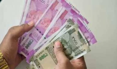 Employees Salary: अधिकारी/कर्मचारियों के लिए जरूरी खबर, जल्द होगा वेतन का भुगतान....