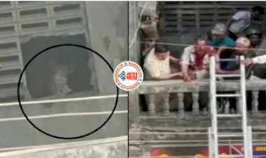 Wild Animal Video: एक तेंदुआ रिहायशी इमारत में घुस मचाया हडकंप तीन लोगों पर कर दिया खतरनाक हमला- देखें वीडियो...