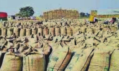 CG- 2 बिचौलियों पर कार्रवाई: खेत का धान कटा ही नहीं और बेचने पहुंच गए पति-पत्नी, किसान के खाते से अवैध धान खपाने की कोशिश, 42 क्विंटल जब्त.....
