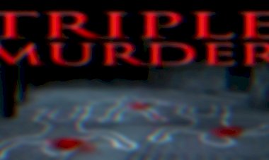 सनसनीखेज हत्याकांड: एक ही परिवार के 3 सदस्यों की गोली मारकर हत्या, सोते परिवार पर गोलियां बरसा ले ली तीन सगे भाइयों की जान, दो महिलाओं समेत 3 गंभीर रूप से घायल.....