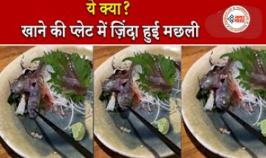 Shocking Viral: खाने की प्लेट में अचानक जिंदा हो गई मछली, फिर जो हुआ उसे देख कांप गए लोग..... वायरल वीडियो देख उड़ आपके भी जाएंगे होश....