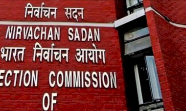 EC: गुजरात में चुनाव से पहले बड़ी कार्रवाई, 290 करोड़ रुपये से ज्यादा कैश और ड्रग्स बरामद