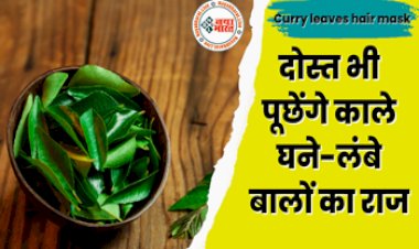 Curry Leaves: बालों को काला, घना बनाएं रखने के लिए इन तरीकों से इस्तेमाल करें करी पत्ते,  दोस्त भी पूछेंगे काले-घने-लंबे बालों का राज....