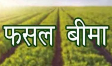 उद्यानिकी फसलों का बीमा 15 दिसंबर तक, पांच प्रतिशत देना होगा प्रीमियम....