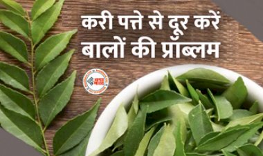 Curry Leaves For Hair: हेयर फॉल रोकना हो या बालों को शाइनी बनाना, करी पत्ते को अलग-अलग तरह से घर पर ऐसे करें इस्तेमाल, जानिए तरीका...